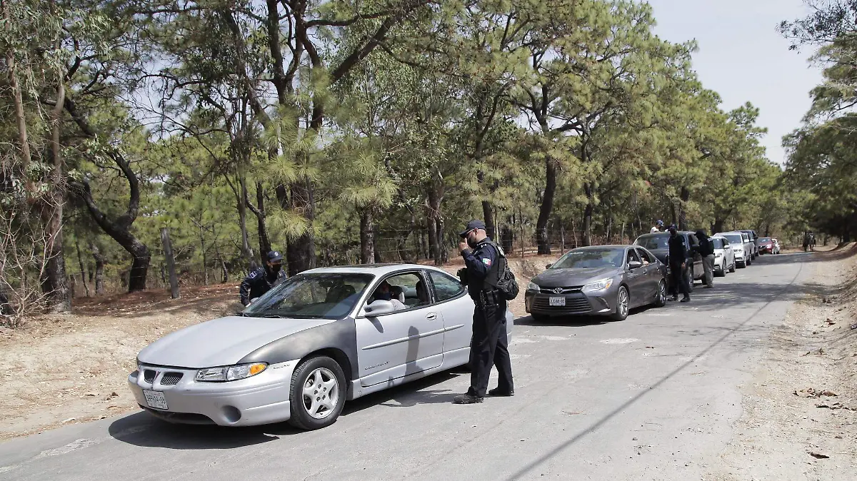 más de 40 mil visitantes en Bosque la Primavera (2)